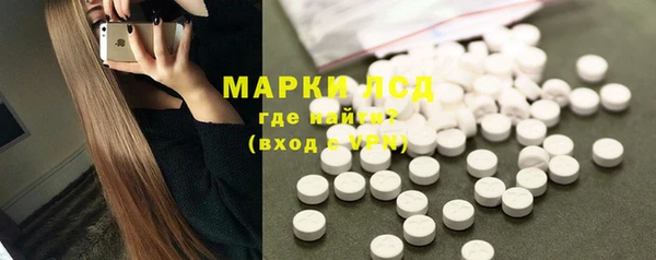 PSILOCYBIN Бородино