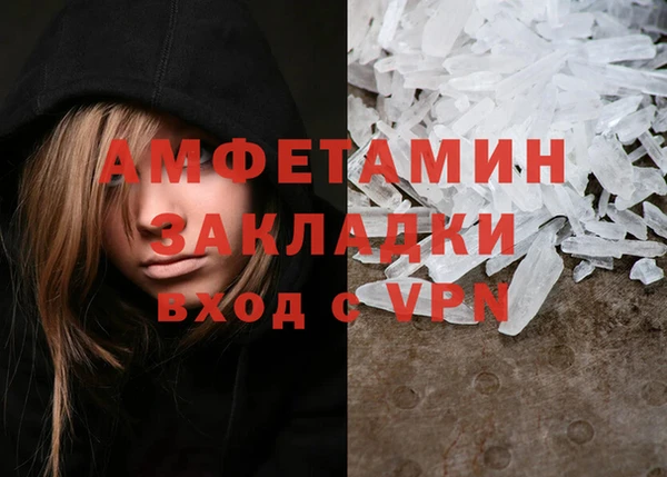 PSILOCYBIN Бородино