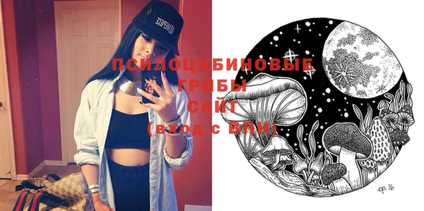 PSILOCYBIN Бородино
