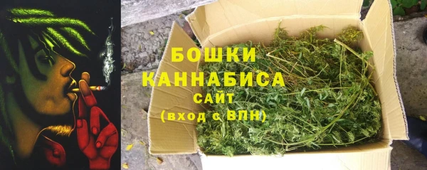 PSILOCYBIN Бородино