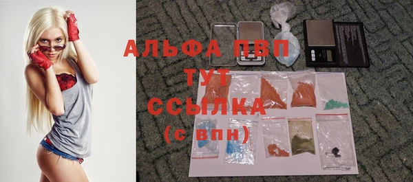 PSILOCYBIN Бородино