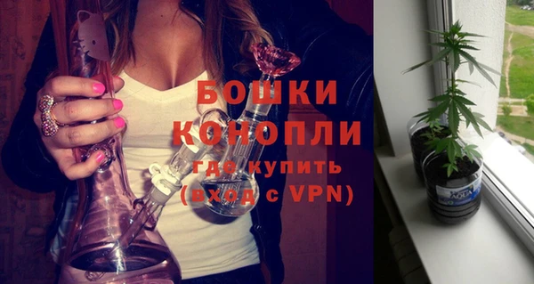 PSILOCYBIN Бородино